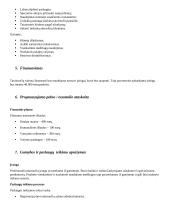 Tatuiruočių salonas verslo planas 2 puslapis