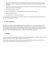 Tatuiruočių salonas verslo planas 3 puslapis