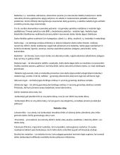 Makroekonomikos pagrindų teorinė medžiaga 20 puslapis