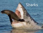 Sharks