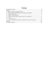 Automobilių greičio matavimo priemonių analizė 2 puslapis