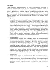 Automobilių greičio matavimo priemonių analizė 11 puslapis