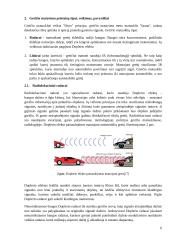 Automobilių greičio matavimo priemonių analizė 6 puslapis