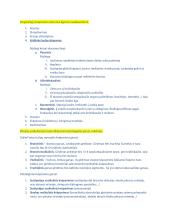 Sveikatos būklės vertinimas 2 puslapis