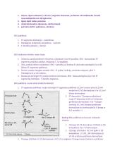 Sveikatos būklės vertinimas 11 puslapis