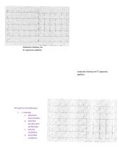 Sveikatos būklės vertinimas 13 puslapis