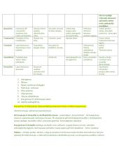 Sveikatos būklės vertinimas 18 puslapis