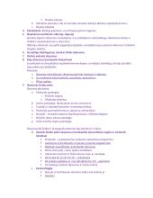 Sveikatos būklės vertinimas 5 puslapis