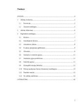 Antrinis medžiagų panaudojimas pastatų konstrukcijose 2 puslapis