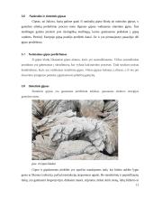 Antrinis medžiagų panaudojimas pastatų konstrukcijose 11 puslapis