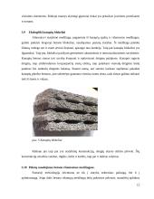 Antrinis medžiagų panaudojimas pastatų konstrukcijose 12 puslapis