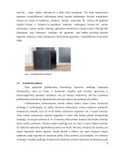 Antrinis medžiagų panaudojimas pastatų konstrukcijose 8 puslapis