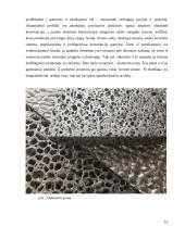 Antrinis medžiagų panaudojimas pastatų konstrukcijose 10 puslapis