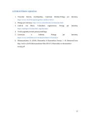 Verslo idėja - Išmanusis šiltnamis 12 puslapis