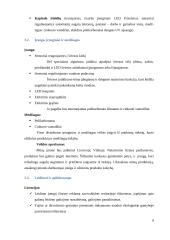 Verslo idėja - Išmanusis šiltnamis 9 puslapis