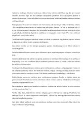 Sandėlininko instruktažas 6 puslapis