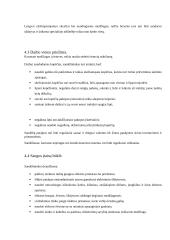 Sandėlininko instruktažas 7 puslapis