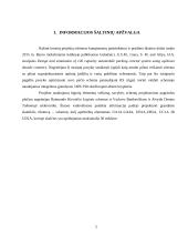 Automobilių aikštelės logikos kursinis projektas 7 puslapis