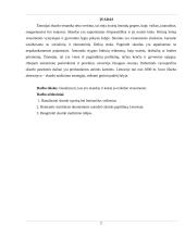 Skurdas, skurdo reikšmė visuomenei 2 puslapis