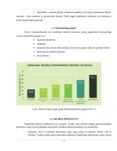Skurdas, skurdo reikšmė visuomenei 4 puslapis