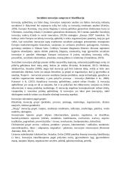 Energetiniai gėrimai - produkto inovacija 3 puslapis