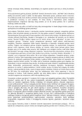 Energetiniai gėrimai - produkto inovacija 6 puslapis