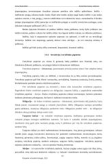 Lietuvos namų ūkių asmeniniai finansai 13 puslapis