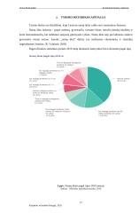 Lietuvos namų ūkių asmeniniai finansai 16 puslapis