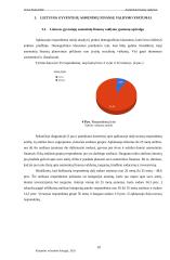 Lietuvos namų ūkių asmeniniai finansai 19 puslapis