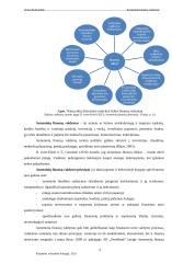 Lietuvos namų ūkių asmeniniai finansai 8 puslapis