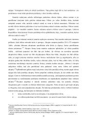 Verslo sandorių sudarymo ypatumai: derybos, konfidenciali informacija, nesusitarimo teisinės pasekmės  16 puslapis