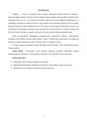 Verslo sandorių sudarymo ypatumai: derybos, konfidenciali informacija, nesusitarimo teisinės pasekmės  3 puslapis