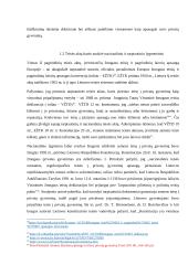 Teisė į privatų gyvenimą 6 puslapis