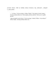 Pareigos visuomenei idėja lietuvių literatūroje 3 puslapis