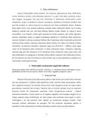 Darbuotojų žalos atlyginimas darbdaviui 5 puslapis