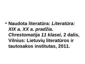 XX a. pradžios literatūra. Realizmas. Neoromantizmas 2 puslapis