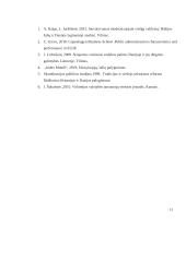 Vokietijos ir Danijos viešojo administravimo sistemų palyginimas  11 puslapis