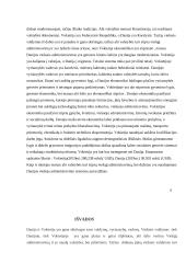 Vokietijos ir Danijos viešojo administravimo sistemų palyginimas  9 puslapis