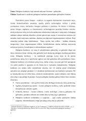 Pabėgimo kambario, kaip metodo taikymas švietime – galimybės 2 puslapis