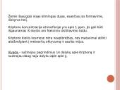 Kriptonas 6 puslapis