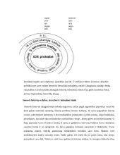 Baltų kultūros pirmieji požymiai 3 puslapis