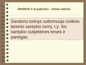 Civilinė teisė. Sandoriai 20 puslapis