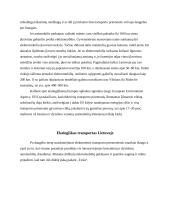 Transporto tarša ir ekologija 8 puslapis