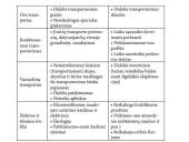 Transporto sistema 12 puslapis