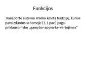 Transporto sistema 4 puslapis