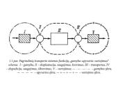 Transporto sistema 6 puslapis