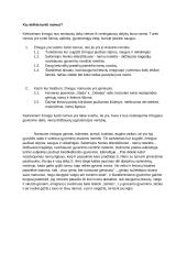 Ką reiškia turėti namus? (rašinio planas+įžanga)