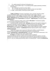 Navikai ir jų keliama žala 2 puslapis