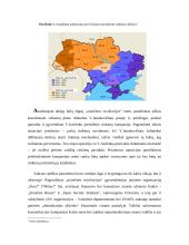 "Oranžinė revoliucija" arba Ukrainos prezidento rinkimų krizė 3 puslapis