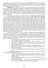 Veislinės triušininkystės vystymo aktualijos 12 puslapis